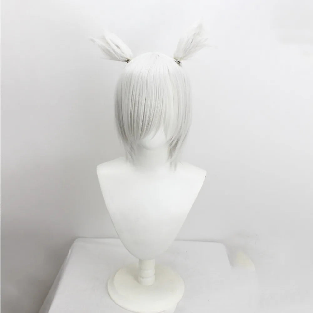 Perruque cosplay de Y'shtola (Final Fantasy XIV, FFXIV), gris argenté, cheveux longs 