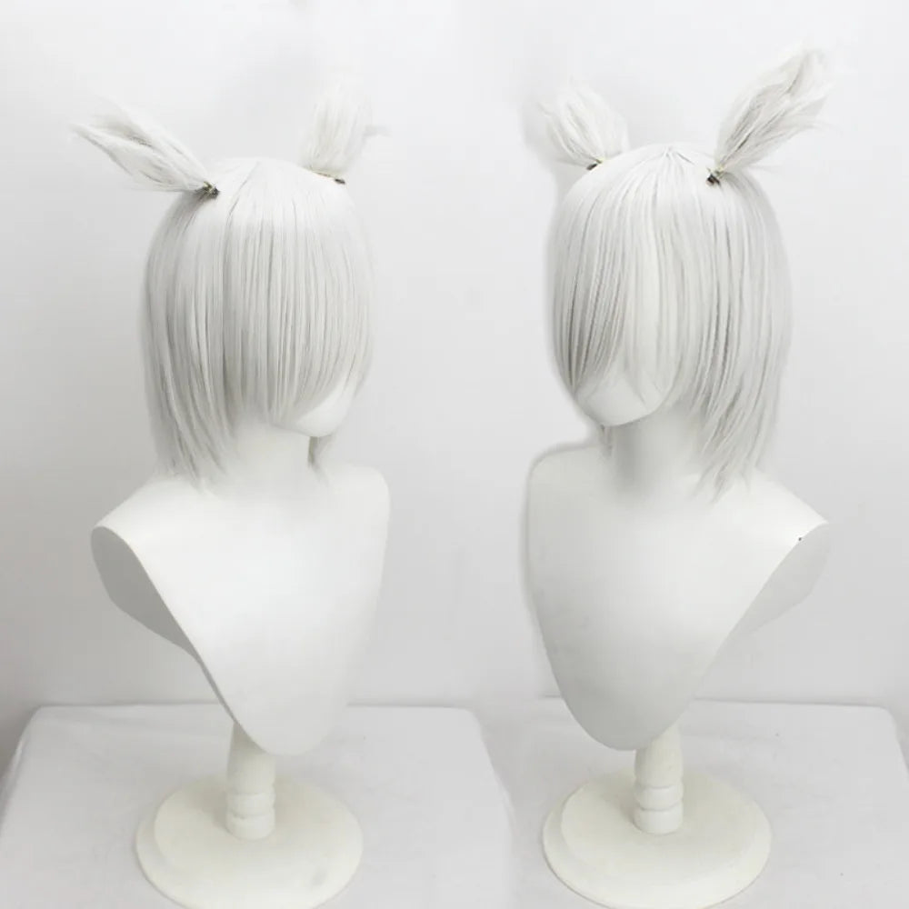 Perruque cosplay de Y'shtola (Final Fantasy XIV, FFXIV), gris argenté, cheveux longs 