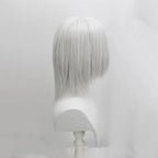 Final Fantasy VII Kadaj Cosplay Wig Silver Grey Hair
