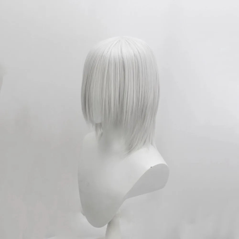 Final Fantasy VII Kadaj Cosplay Wig Silver Grey Hair