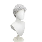 One Piece Smoker Cosplay Wig Vice Admiral Silver Grey Slicked Hair for