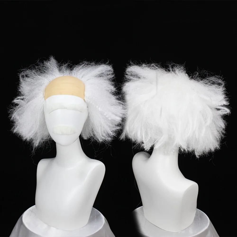 Albert Einstein Wig & Beard Set Grey White Frizzy Costume Hair | MiDicosplay