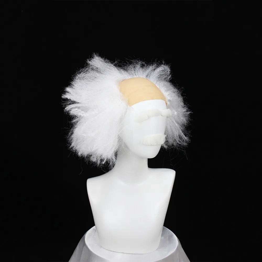 Albert Einstein Wig & Beard Set Grey White Frizzy Costume Hair | MiDicosplay