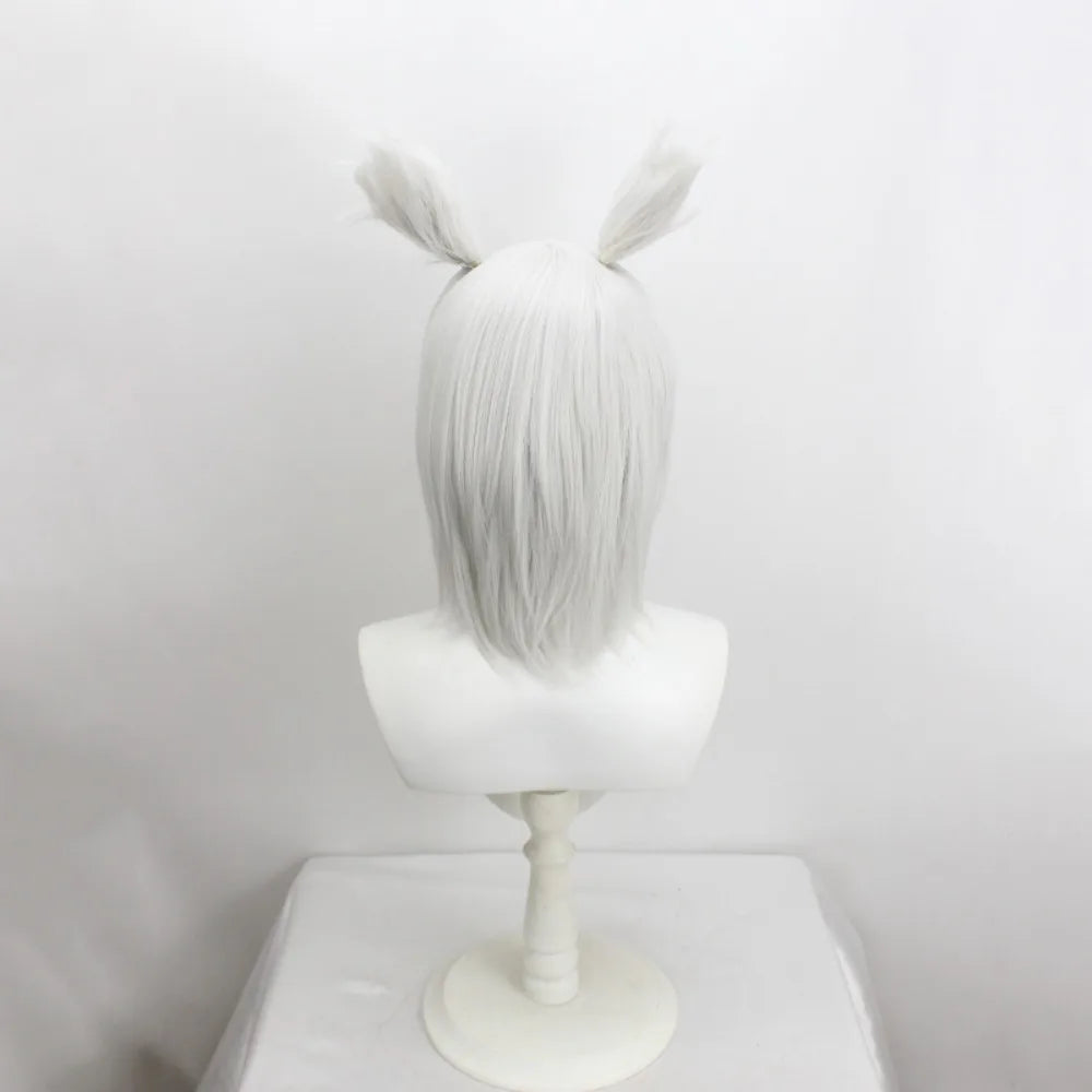 Perruque cosplay de Y'shtola (Final Fantasy XIV, FFXIV), gris argenté, cheveux longs 