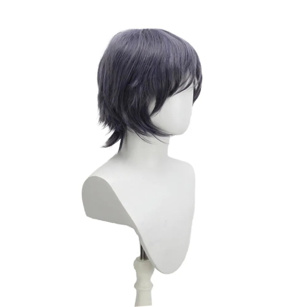 Final Fantasy 15 FFXV Noctis Cosplay Wig Prince Blue Grey Hair