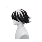 Perruque cosplay Fate Charlemagne en fibre résistante à la chaleur, cheveux noirs et blancs 