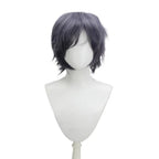 Final Fantasy 15 FFXV Noctis Cosplay Wig Prince Blue Grey Hair