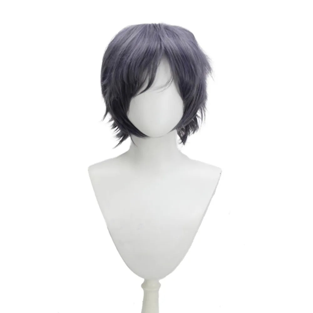 Final Fantasy 15 FFXV Noctis Cosplay Wig Prince Blue Grey Hair