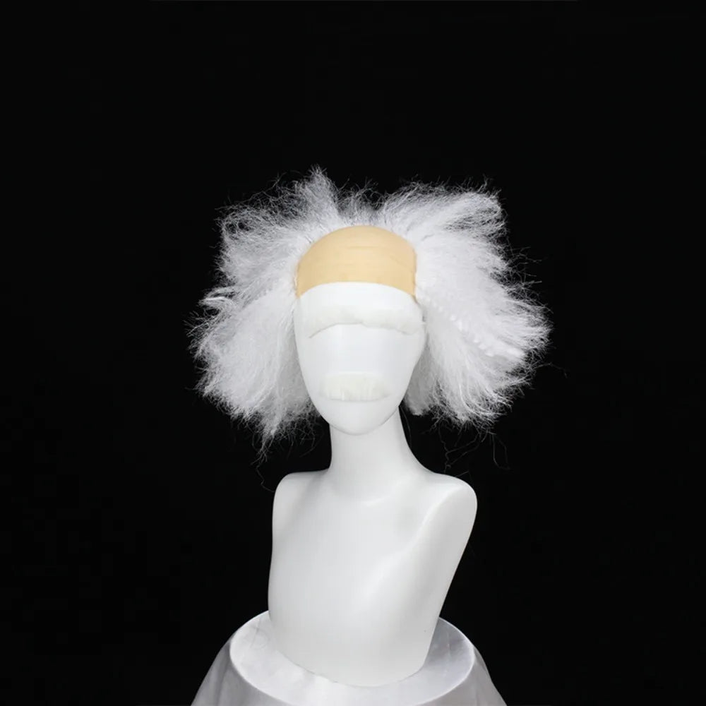Albert Einstein Wig & Beard Set Grey White Frizzy Costume Hair | MiDicosplay