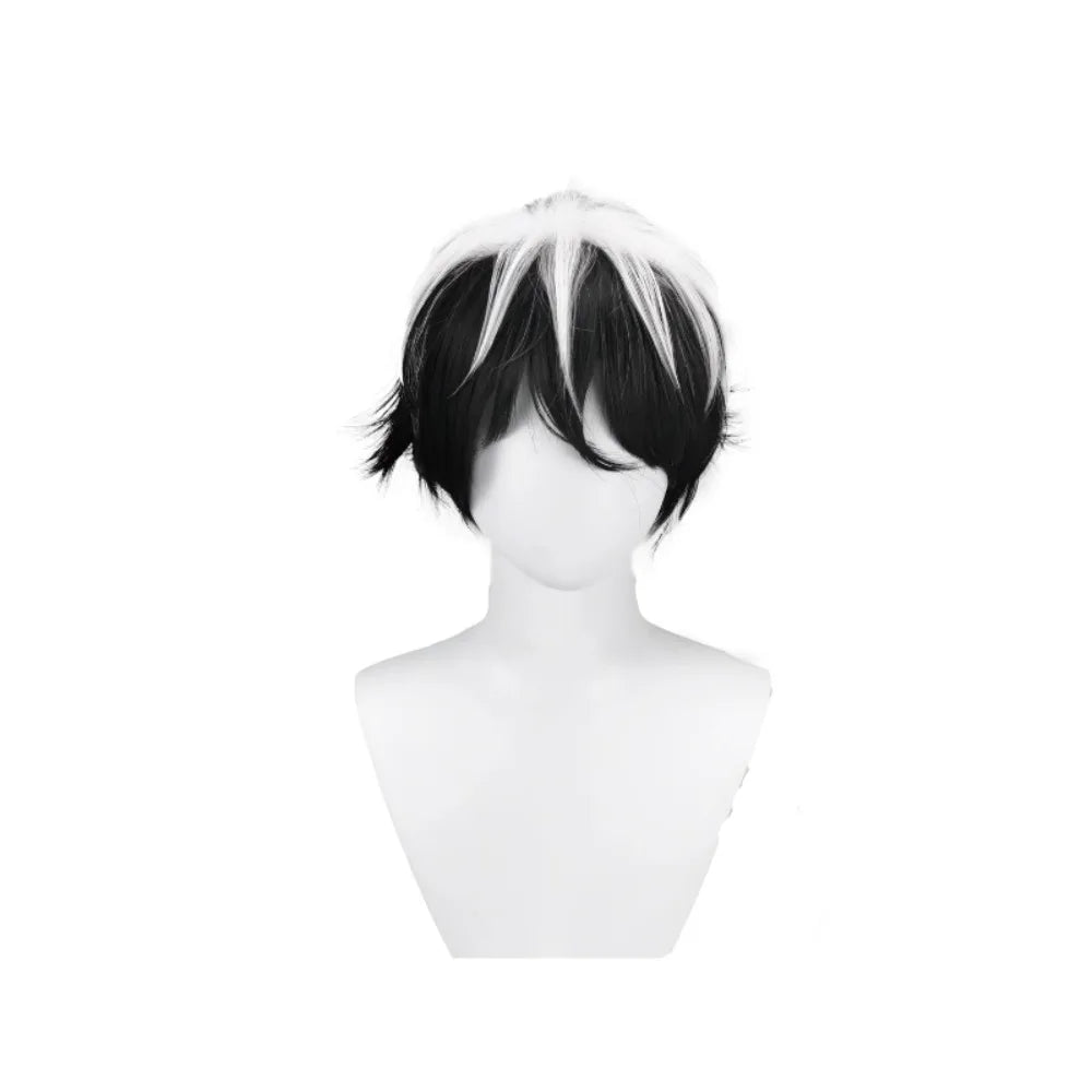 Perruque cosplay Fate Charlemagne en fibre résistante à la chaleur, cheveux noirs et blancs 