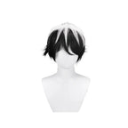 Perruque cosplay Fate Charlemagne en fibre résistante à la chaleur, cheveux noirs et blancs 