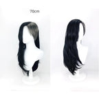 Perruque cosplay Tokyo Ghoul noire et grise, style Kaneki Ken (cheveux longs et courts). 