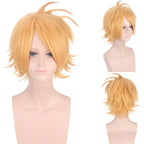 My Hero Academia Cosplay Wig Set for Shoto Todoroki Aizawa Tsuyu Asui Himiko Toga Character Costume Hair