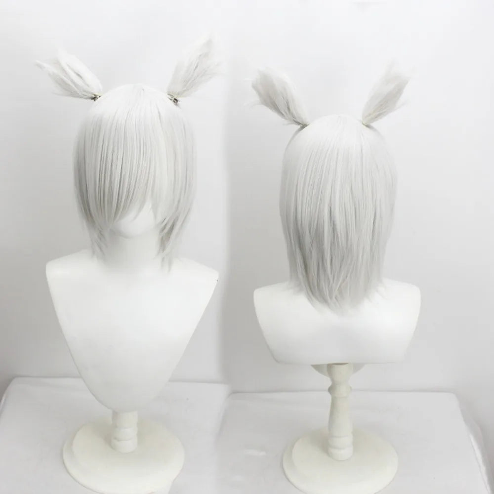 Perruque cosplay de Y'shtola (Final Fantasy XIV, FFXIV), gris argenté, cheveux longs 