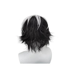 Perruque cosplay Fate Charlemagne en fibre résistante à la chaleur, cheveux noirs et blancs 
