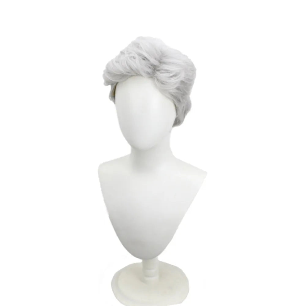 One Piece Smoker Cosplay Wig Vice Admiral Silver Grey Slicked Hair for