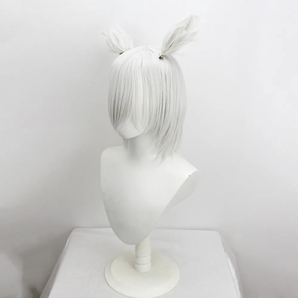 Perruque cosplay de Y'shtola (Final Fantasy XIV, FFXIV), gris argenté, cheveux longs 