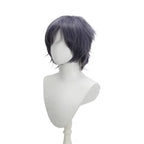 Final Fantasy 15 FFXV Noctis Cosplay Wig Prince Blue Grey Hair