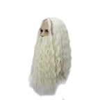 Professor Dumbledore Cosplay Wig Beard Set Light Blonde Hair