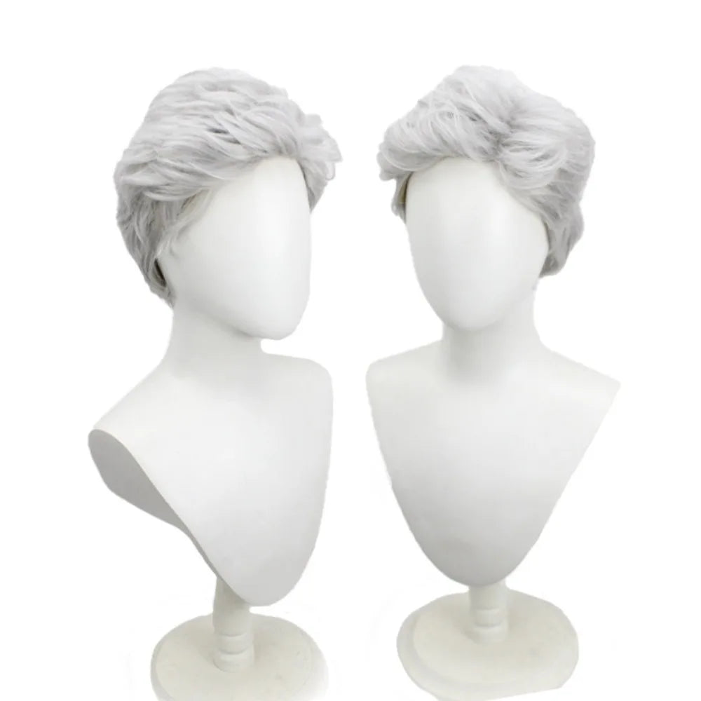 One Piece Smoker Cosplay Wig Vice Admiral Silver Grey Slicked Hair for