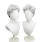 One Piece Smoker Cosplay Wig Vice Admiral Silver Grey Slicked Hair for